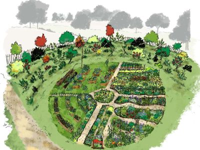 Plan du potager 2023