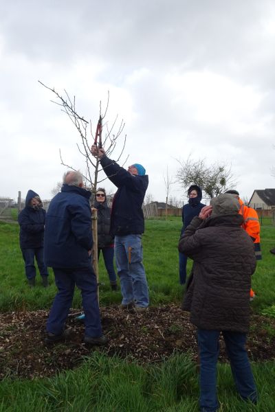 Lundi 21 Février 2022 Taille de formation des arbres du verger.